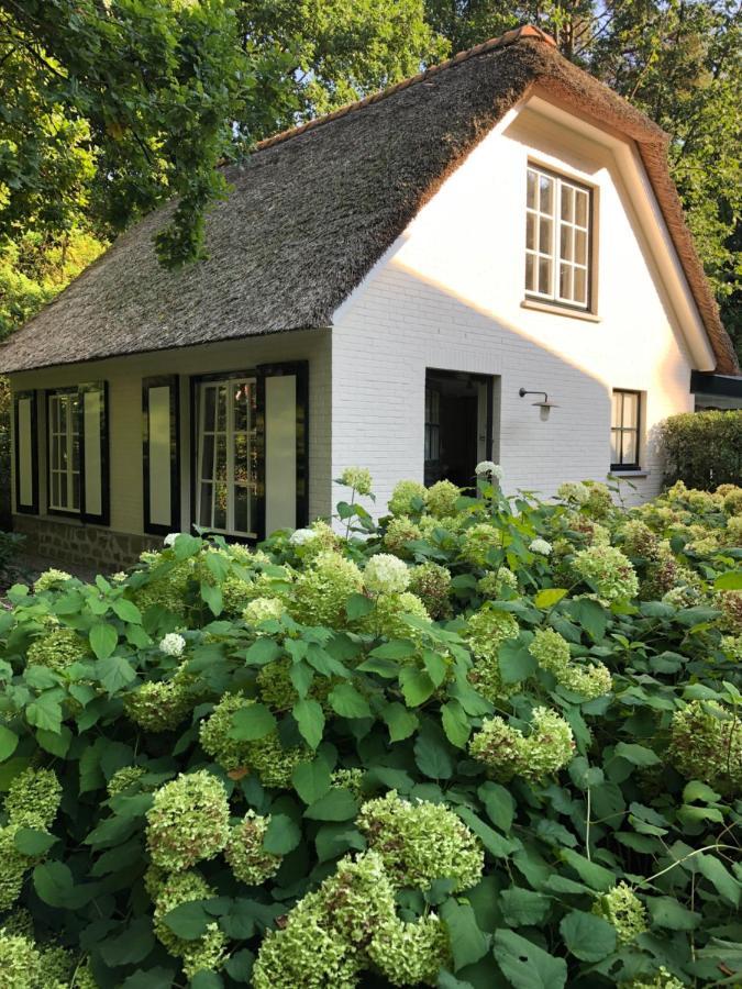 Schilde Cottage - voor als u er even uit wil, gaat renoveren, verhuizen of als tijdelijke home office Buitenkant foto