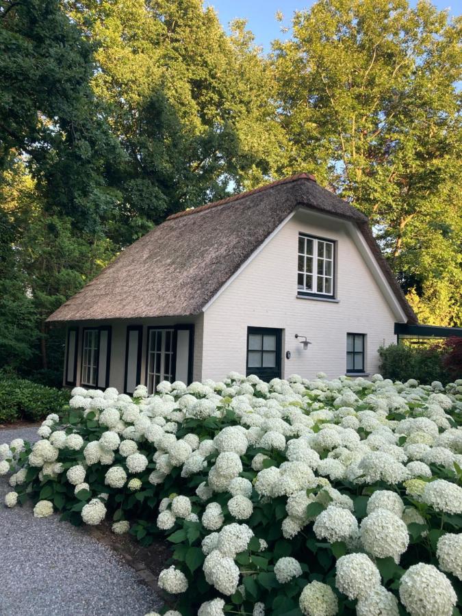 Schilde Cottage - voor als u er even uit wil, gaat renoveren, verhuizen of als tijdelijke home office Buitenkant foto
